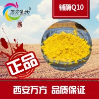 辅酶Q10 98%  食品级  高含量原料批发-西安万方生物科技有限公司