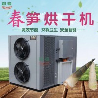 智能除湿一体春笋烘干机-珠海市智烘节能工程有限公司