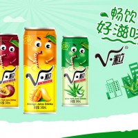 果汁饮料-广东楚珍控股有限公司