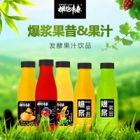 发酵果汁-达利园食品（珠海）有限公司