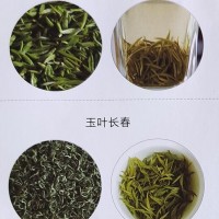 蒙顶山茶-四川天下雅茶业有限公司