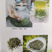 纯手工高山茶、碧螺春-洪雅县童老幺茶叶种植专业合作社