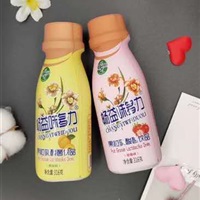 果蔬乳酸菌-东方乐饮品厂家