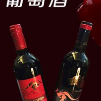 澳洲原瓶进口西拉干红葡萄酒-宁陵县龙翔露酒有限公司