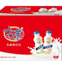 果蔬乳酸饮品-山东一太子一食品有限公司